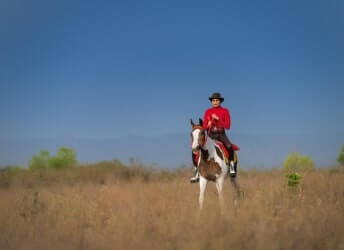 Gaj Retreat - Horse Riding Event
